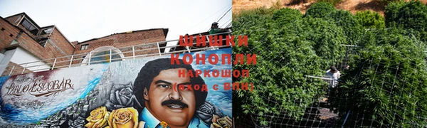 эйфоретик Балахна