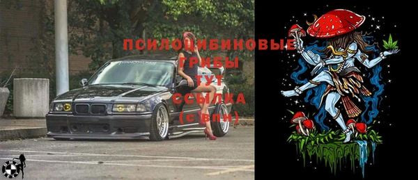 ГАЛЛЮЦИНОГЕННЫЕ ГРИБЫ Сатка